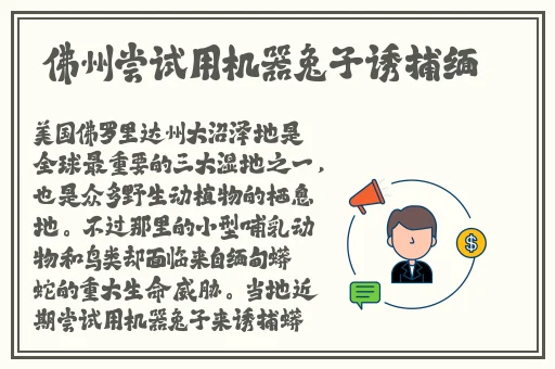网红黑料传送门